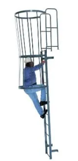 Deluxe Roof Access Ladder with Ladder Cage