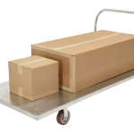 Stainless Steel Platform Truck